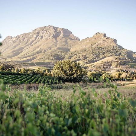 Le Pommier Wine Estate Villa Stellenbosch Eksteriør bilde
