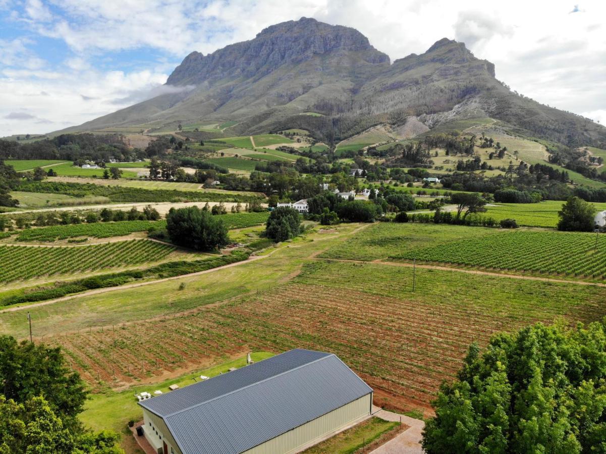 Le Pommier Wine Estate Villa Stellenbosch Eksteriør bilde