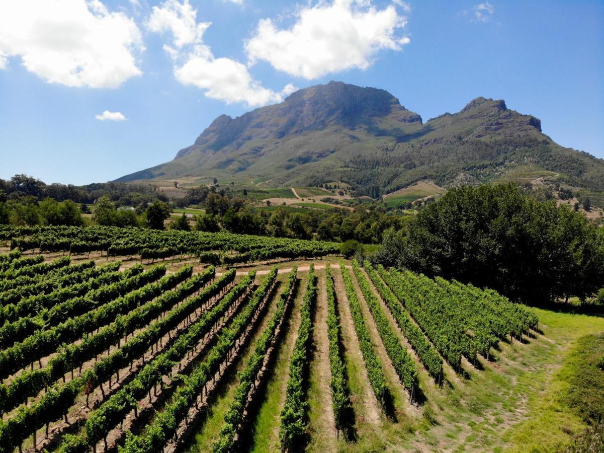 Le Pommier Wine Estate Villa Stellenbosch Eksteriør bilde