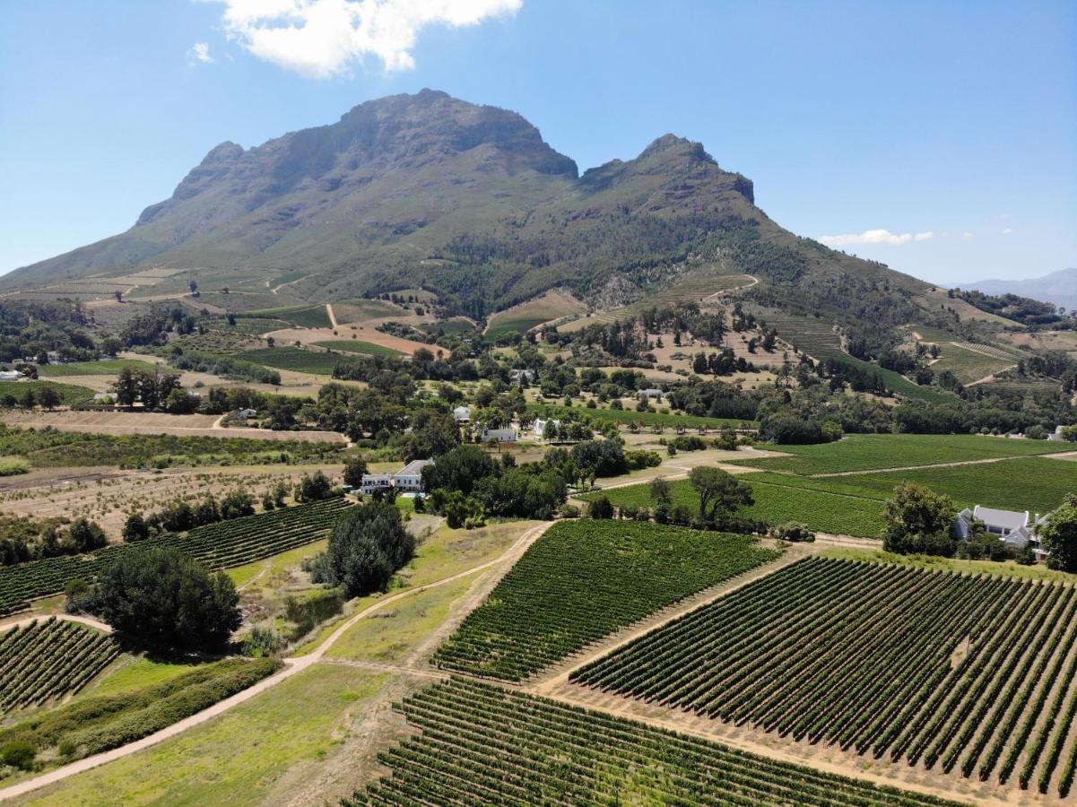 Le Pommier Wine Estate Villa Stellenbosch Eksteriør bilde