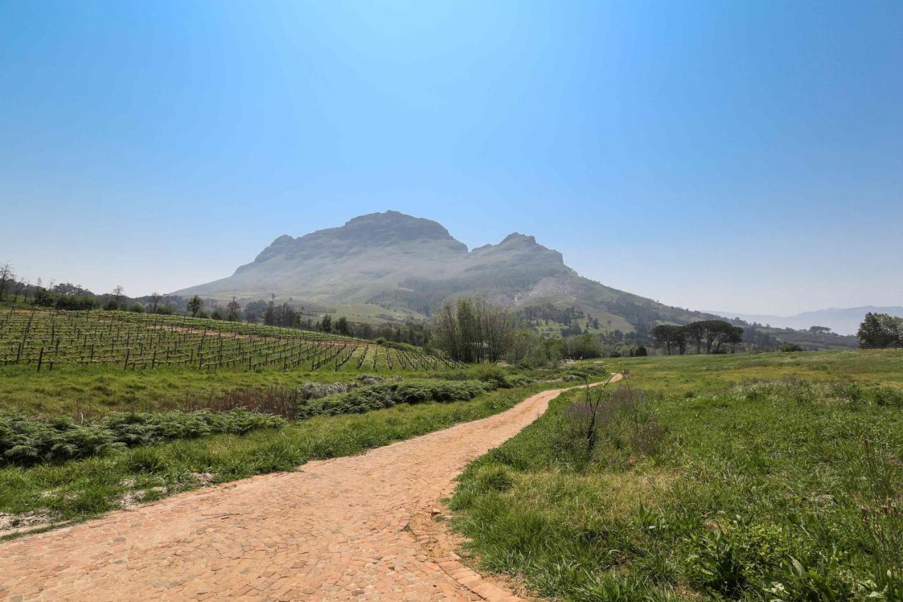Le Pommier Wine Estate Villa Stellenbosch Eksteriør bilde